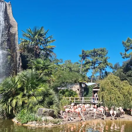 Gorgeous In سا جورج دوليه