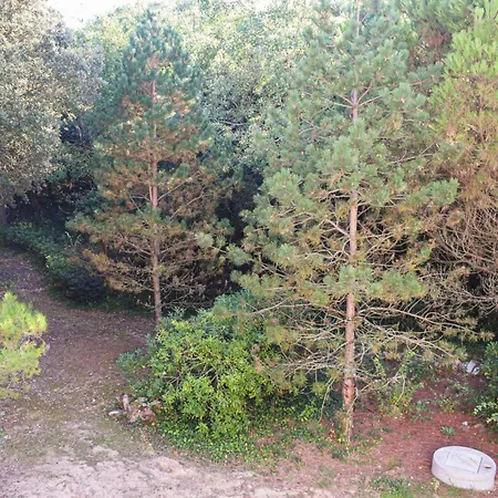 Gorgeous In Ferienhaus Saint-Georges-d'Oleron