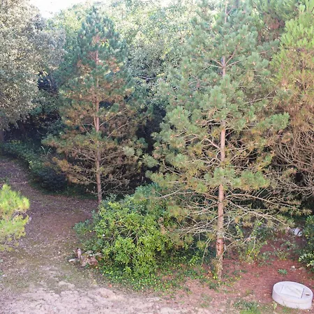 Cozy In Saint-georges-doleron With Kitchen Holiday home Saint-Georges-d'Oleron