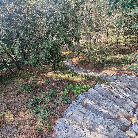 Gorgeous In * Saint-Georges-d'Oleron